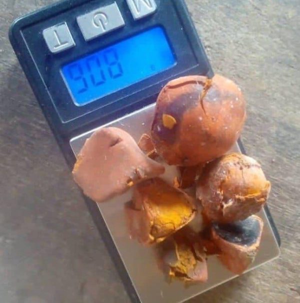 Ox Cow Gallstone - Image 6