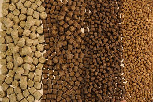 Feeds for fish farms - Image 7