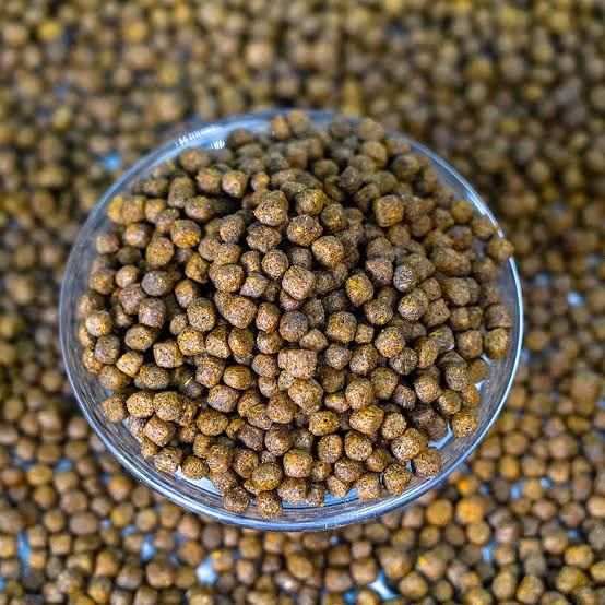 Feeds for fish farms - Image 9